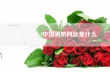 无棣中国消防网址是什么