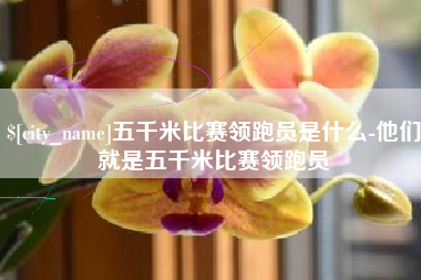 无棣五千米比赛领跑员是什么-他们就是五千米比赛领跑员