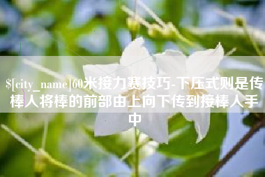 无棣60米接力赛技巧-下压式则是传棒人将棒的前部由上向下传到接棒人手中