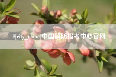 无棣中国消防报考中心官网