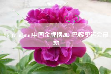 无棣中国金牌榜2024巴黎奥运会最新