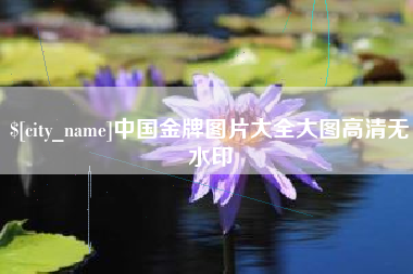 无棣中国金牌图片大全大图高清无水印