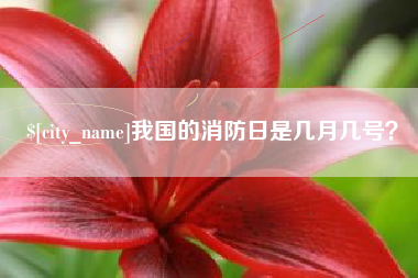 无棣我国的消防日是几月几号？