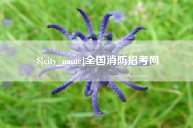 无棣全国消防招考网