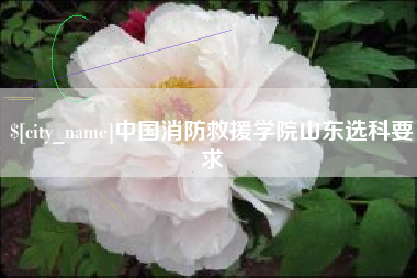 无棣中国消防救援学院山东选科要求