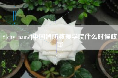 无棣中国消防救援学院什么时候政审