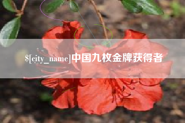 无棣中国九枚金牌获得者