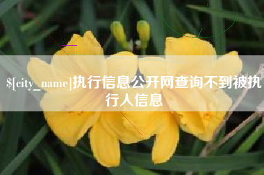 无棣执行信息公开网查询不到被执行人信息