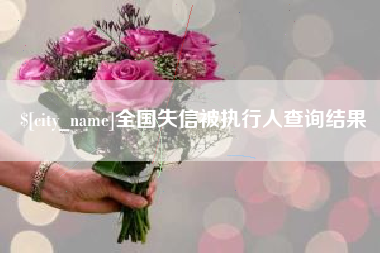 无棣全国失信被执行人查询结果