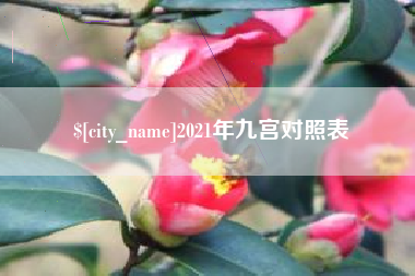 无棣2021年九宫对照表