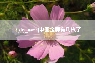 无棣中国金牌有几枚了