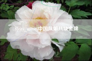 无棣中国队第八块金牌