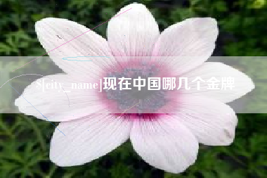 无棣现在中国哪几个金牌