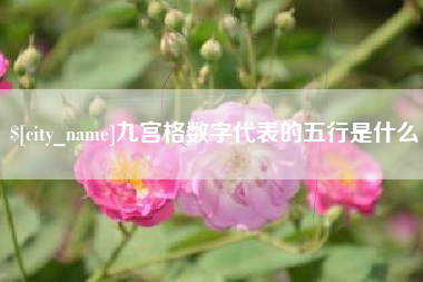 无棣九宫格数字代表的五行是什么