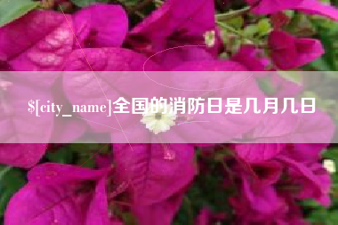 无棣全国的消防日是几月几日