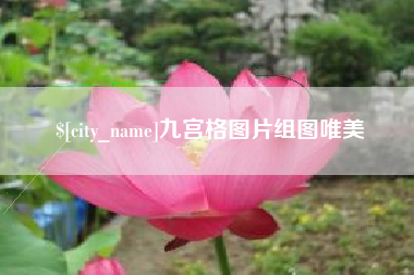无棣九宫格图片组图唯美