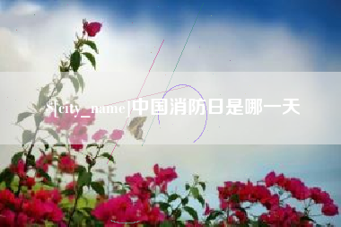 无棣中国消防日是哪一天