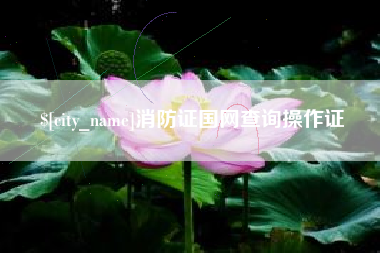 无棣消防证国网查询操作证
