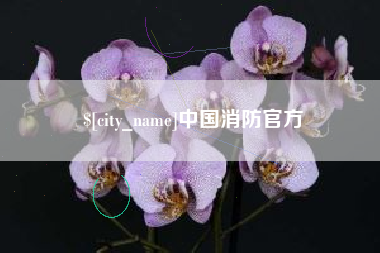 无棣中国消防官方