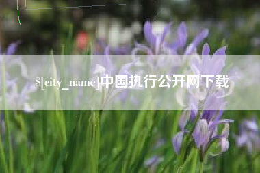 无棣中国执行公开网下载