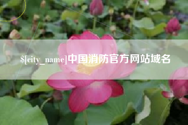无棣中国消防官方网站域名