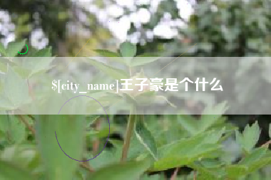 无棣王子豪是个什么