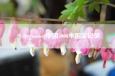 无棣中国5000米国家记录