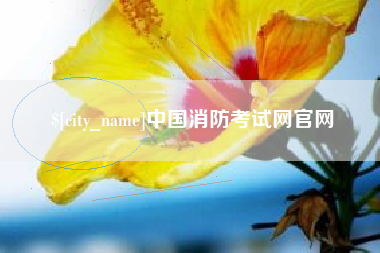 无棣中国消防考试网官网