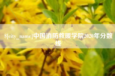 无棣中国消防救援学院2020年分数线