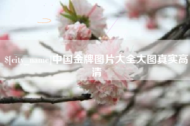 无棣中国金牌图片大全大图真实高清