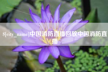 无棣中国消防直播回放中国消防直播