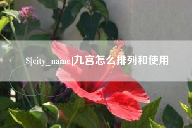 无棣九宫怎么排列和使用
