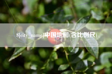 无棣中国地图(含比例尺)