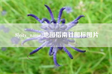 无棣地图指南针图标图片