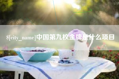 无棣中国第九枚金牌是什么项目