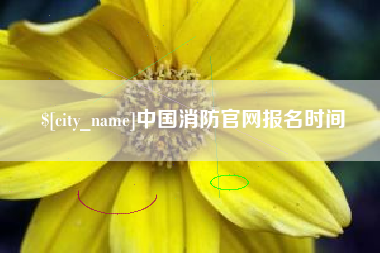 无棣中国消防官网报名时间