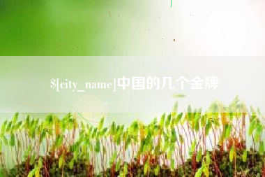 无棣中国的几个金牌