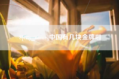 无棣中国有几块金牌啦