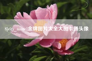 无棣金牌图片大全大图卡通头像