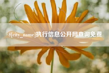 无棣执行信息公开网查询免费